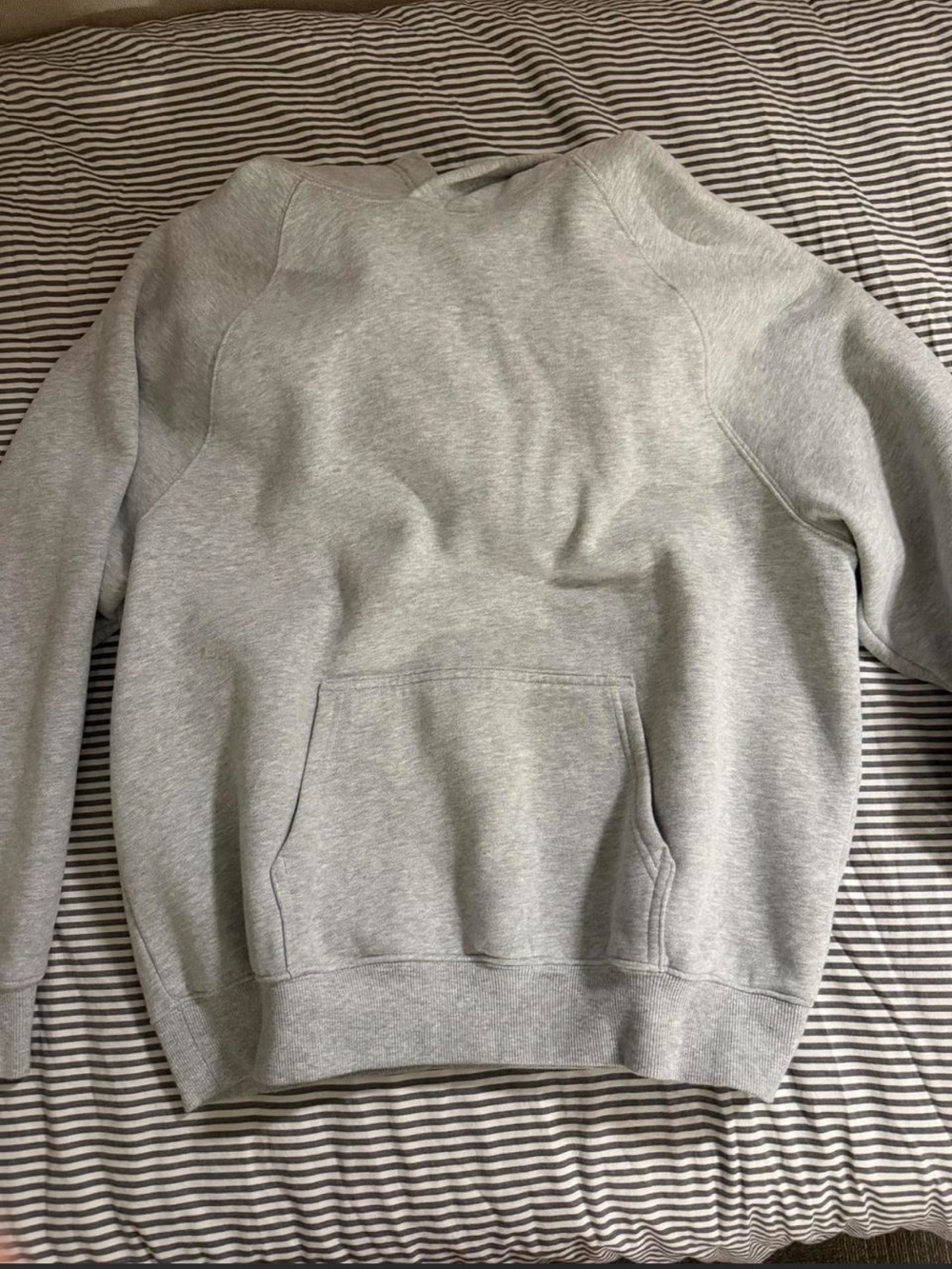 Aritzia heather chrome Sweatfleece Hoodie - Mega Fit